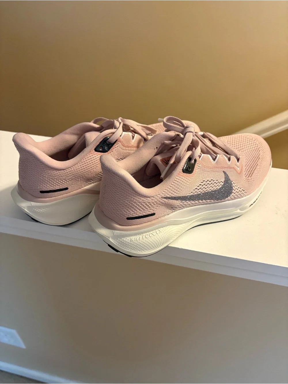 Nike Women's Dusty Pink Running Shoes
